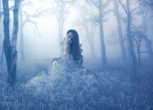 PHOTOMANIPULATION | 2008-2011