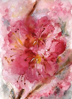 by Christina Papaspiliopoulou