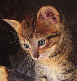 by Marilyn De la Cruz